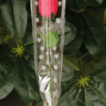 Bicicleta con rosas - Amor y Amistad Envios a Bogotá y toda Colombia | Dkora Colombia