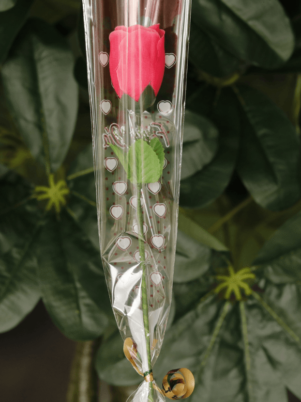 Solitario Botón por 12 - Amor y Amistad Envios a Bogotá y toda Colombia | Dkora Colombia