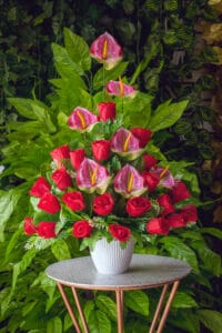 Rosas y Anturios - Amor y Amistad Envios a Bogotá y toda Colombia | Dkora Colombia