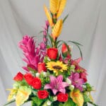 Orquídea y Rosas - Amor y Amistad Envios a Bogotá y toda Colombia | Dkora Colombia