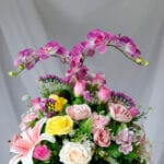 Heliconia y Lirio - Amor y Amistad Envios a Bogotá y toda Colombia | Dkora Colombia