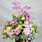 Margaritas Amarillas y Rosas - Amor y Amistad Envios a Bogotá y toda Colombia | Dkora Colombia