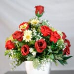 Clavel y Orquídea - Amor y Amistad Envios a Bogotá y toda Colombia | Dkora Colombia