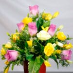 Margaritas Amarillas y Rosas - Amor y Amistad Envios a Bogotá y toda Colombia | Dkora Colombia