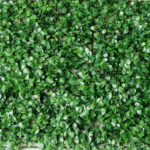 Tapete con Hojas – Verde - Follaje y Plantas Envios a Bogotá y toda Colombia | Dkora Colombia