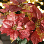 Flor de Navidad por 8 pétalos– Plata - Decora tu Navidad Envios a Bogotá y toda Colombia | Dkora Colombia