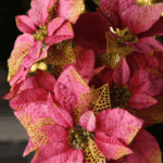 Flor de Navidad por 15 pétalos – Azul - Decora tu Navidad Envios a Bogotá y toda Colombia | Dkora Colombia