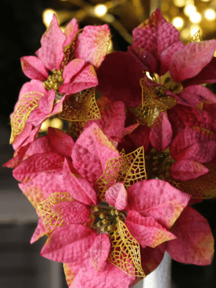 Ramo Flor de Navidad por 5 –Fucsia y Dorada - Decora tu Navidad Envios a Bogotá y toda Colombia | Dkora Colombia