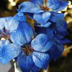 Ramo Flor de Navidad por 7 varas – Azul Rey - Decora tu Navidad Envios a Bogotá y toda Colombia | Dkora Colombia