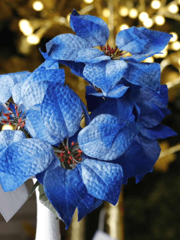 Ramo Flor de Navidad por 7 varas – Azul - Decora tu Navidad Envios a Bogotá y toda Colombia | Dkora Colombia