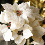 Ramo Flor de Navidad por 7 varas – Azul Rey - Decora tu Navidad Envios a Bogotá y toda Colombia | Dkora Colombia