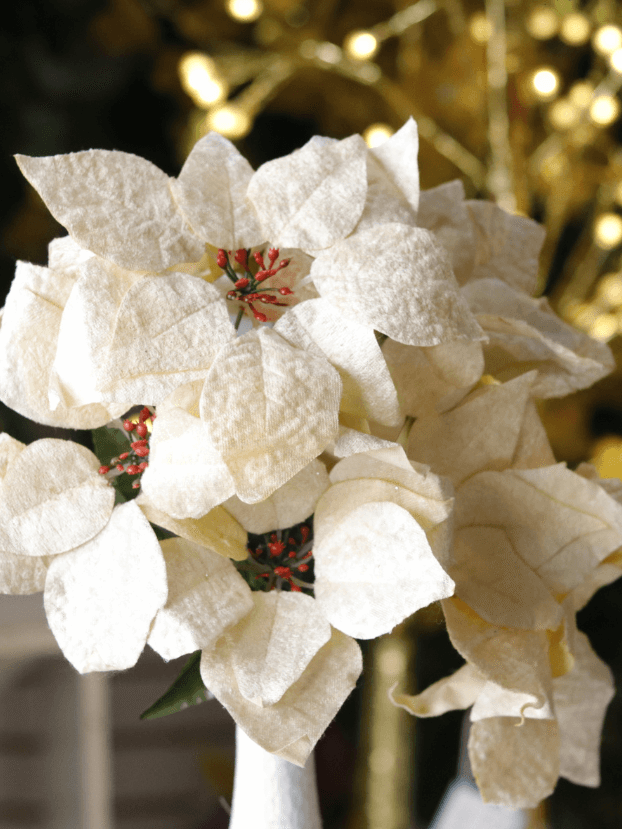 Ramo Flor de Navidad por 7 varas – Beige - Decora tu Navidad Envios a Bogotá y toda Colombia | Dkora Colombia