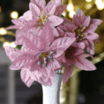 Ramo Flor de Navidad por 7 varas – Bicolor Azul y Blanco - Decora tu Navidad Envios a Bogotá y toda Colombia | Dkora Colombia