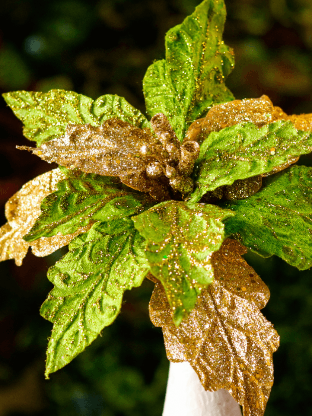Flor de Navidad por 11 pétalos – Verde y Dorado - Decora tu Navidad Envios a Bogotá y toda Colombia | Dkora Colombia