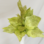 Ramo Flor de Navidad por 7 varas – Bicolor Azul y Blanco - Decora tu Navidad Envios a Bogotá y toda Colombia | Dkora Colombia