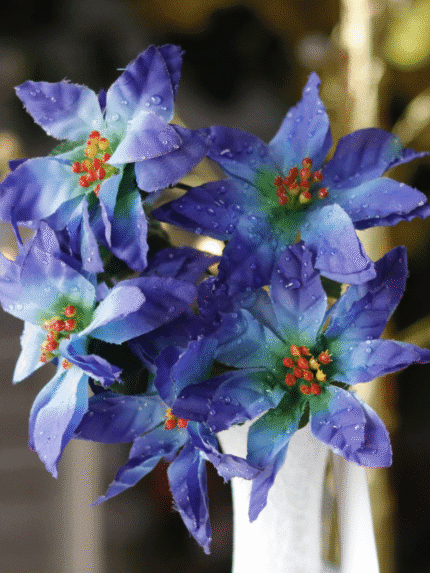 Ramo Flor de Navidad por 7 –Azul - Decora tu Navidad Envios a Bogotá y toda Colombia | Dkora Colombia