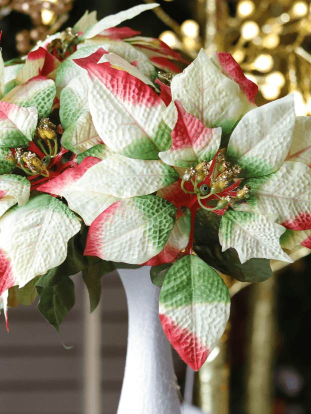 Ramo Flor de Navidad por 5 –Tres colores Combinados - Decora tu Navidad Envios a Bogotá y toda Colombia | Dkora Colombia