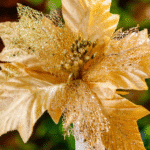 Flor de Navidad por 8 pétalos – Champage - Decora tu Navidad Envios a Bogotá y toda Colombia | Dkora Colombia