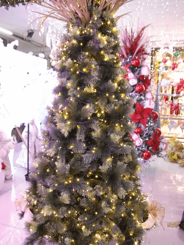 Pino sauce de 2,00 m con monofilamento y ramas combinadas. - Árboles de Navidad Envios a Bogotá y toda Colombia | Dkora Colombia