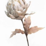 Vara Magnolia Crema con Centro Rosado 90 cm - Decora tu Navidad Envios a Bogotá y toda Colombia | Dkora Colombia